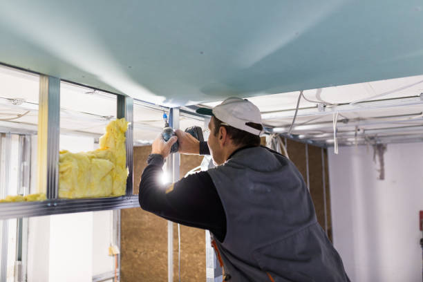Best Insulation Maintenance and Repair in Lauderhill, FL