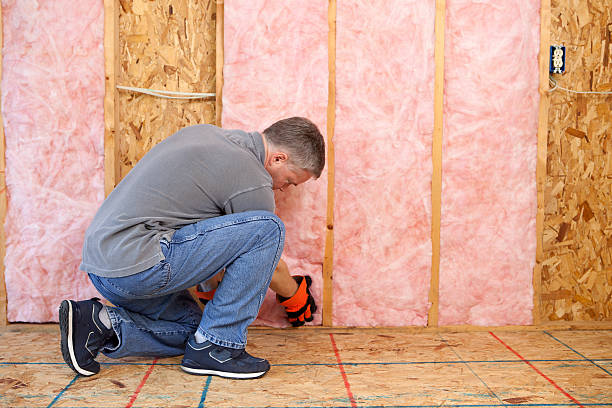 Best Commercial Insulation in Lauderhill, FL