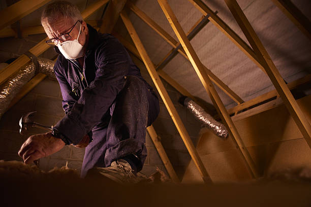 Best Types of Insulation in Lauderhill, FL