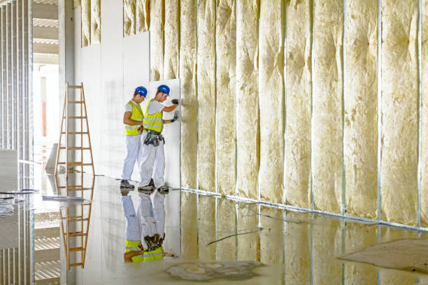 Best Insulation Installation Services in Lauderhill, FL